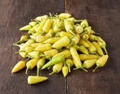 BİBER SÜS SARI TOPAK 1 KG