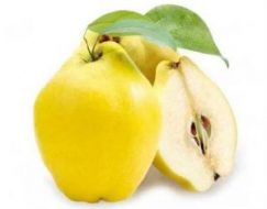 AYVA 1 KG