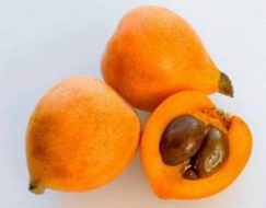 YENİ DÜNYA 500 G