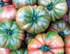 DOMATES SÜPER 1 KG
