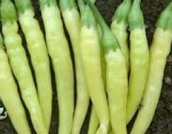BİBER SÜS YERLİ 1 KG